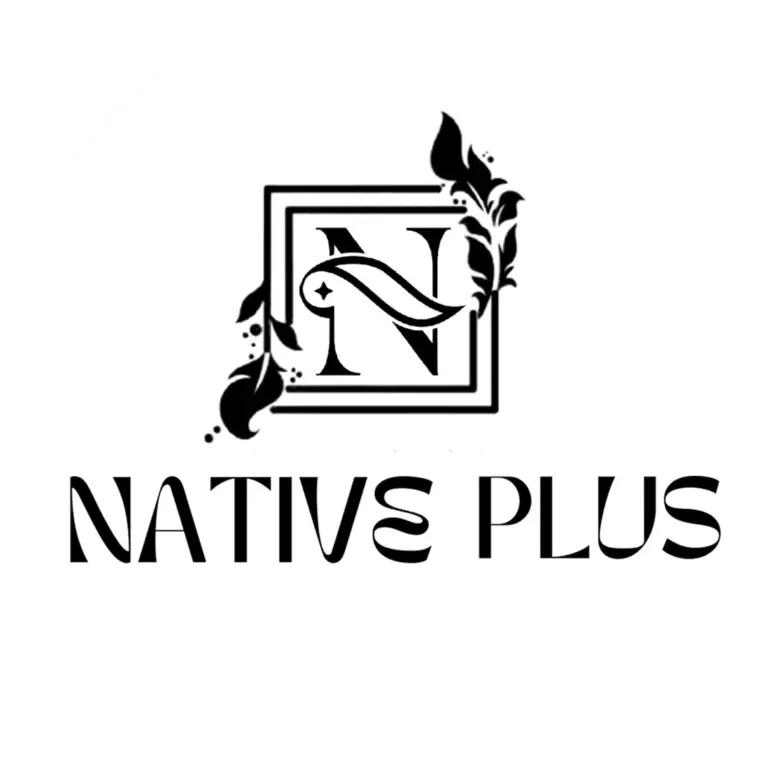 Logo Natives Plus – Gestion des réseaux sociaux et publicité à Temara